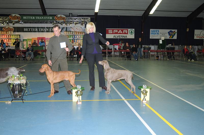 kerstshow 2008 056.jpg